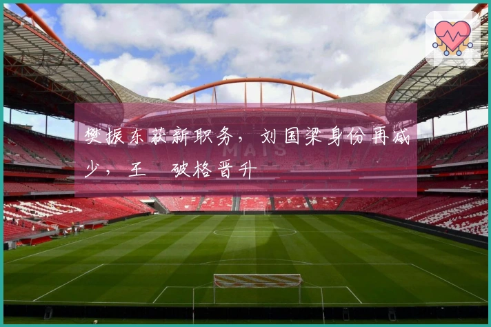 樊振东获新职务，刘国梁身份再减少，王濛破格晋升