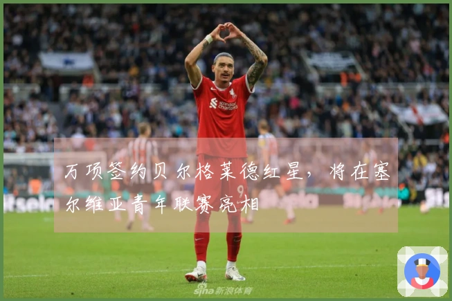 万项签约贝尔格莱德红星，将在塞尔维亚青年联赛亮相