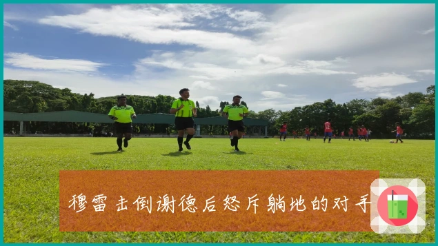 穆雷击倒谢德后怒斥躺地的对手